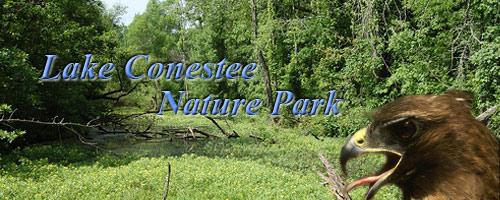 lake conestee logo